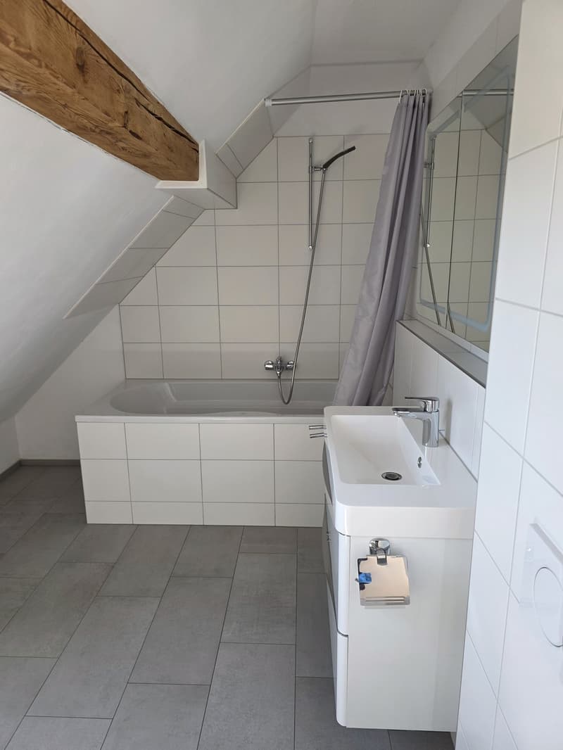 1 ½ Zimmer-Wohnung, 8500 frauenfeld (5)