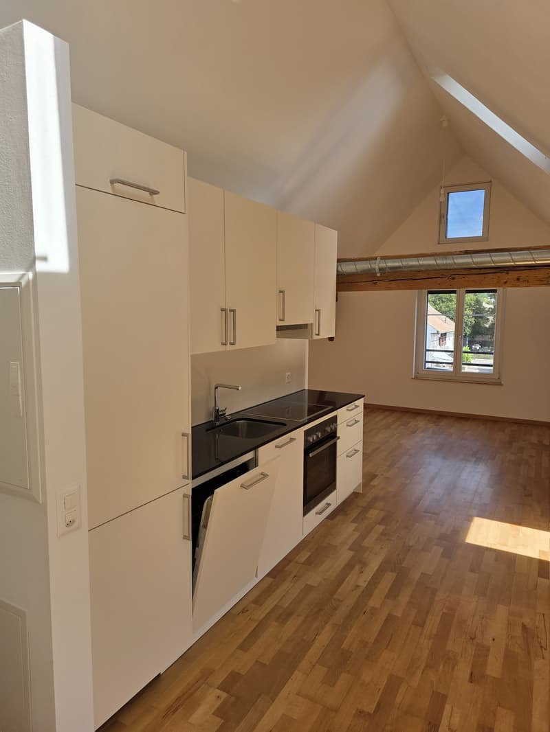1 ½ Zimmer-Wohnung, 8500 frauenfeld (1)