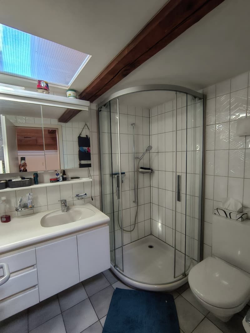 4.5 Zimmer Dachwohnung, CHF 1'750.- inkl. NK (9)