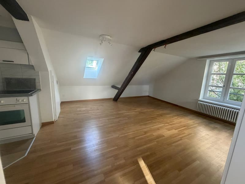 Frisch renovierte 2.5-Zimmer-Dachwohnung an der Paulstrasse 23 in Winterthur (9)