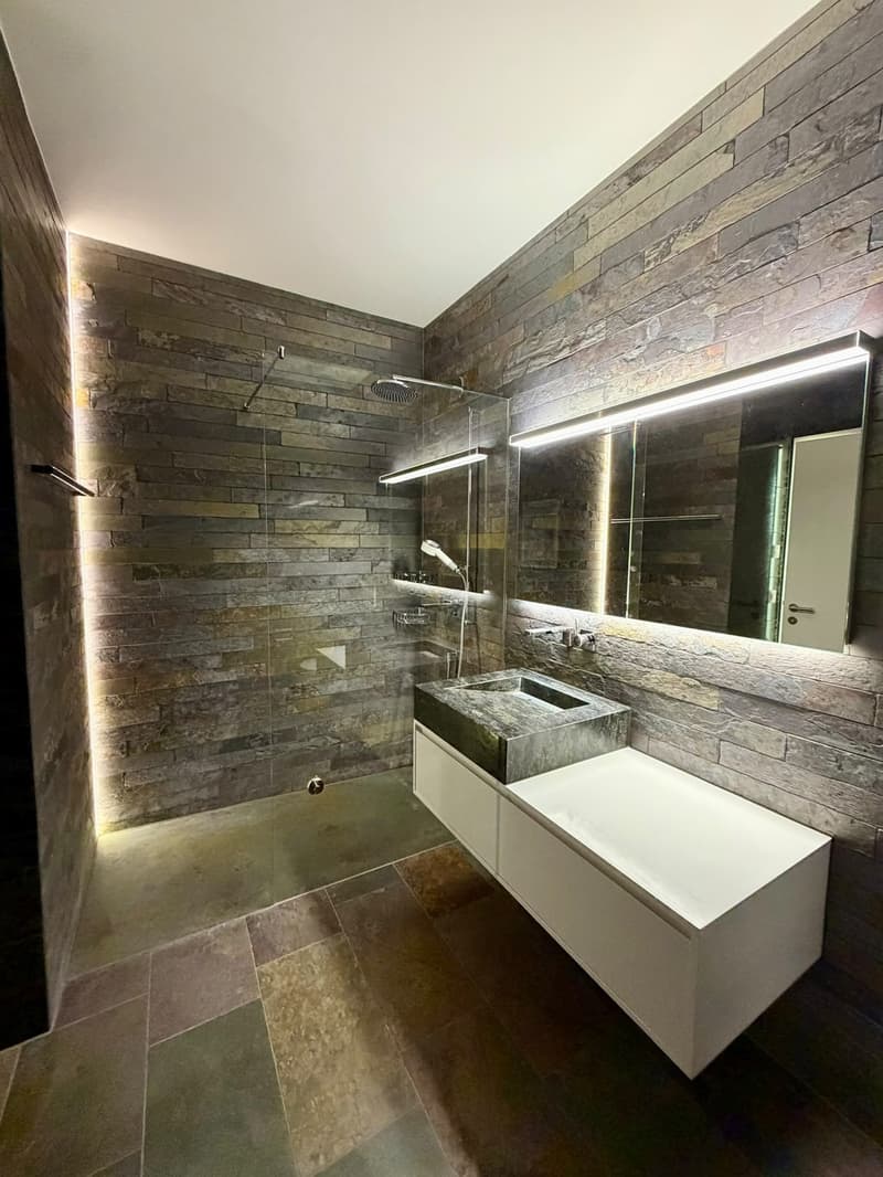 Stunning 3.5-Room Apartment in Zug Available Immediately (6)