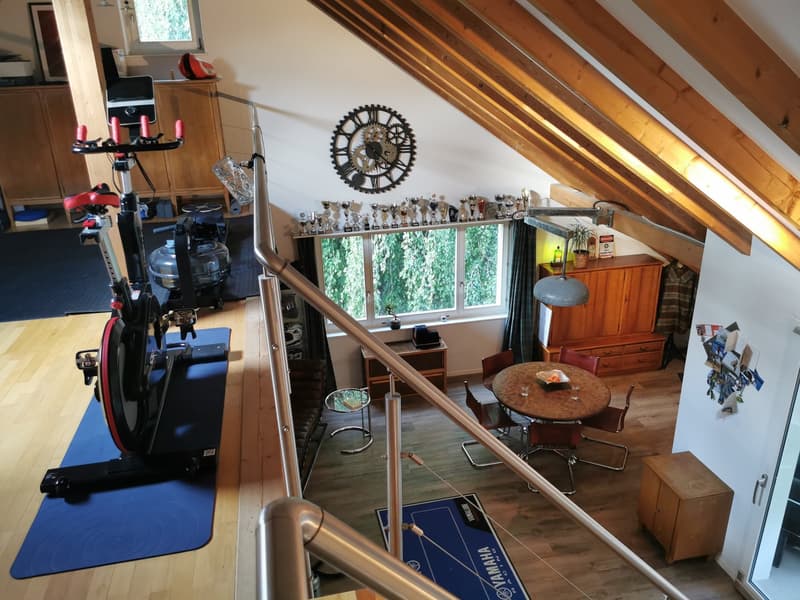 2,5 Zimmer 117 m² Dachgeschoss Wohnung mit Galerie und Wintergarten (13)
