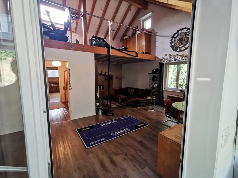2,5 Zimmer 117 m² Dachgeschoss Wohnung mit Galerie und Wintergarten (5)