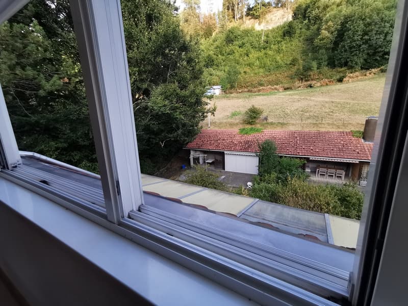 2,5 Zimmer 117 m² Dachgeschoss Wohnung mit Galerie und Wintergarten (9)
