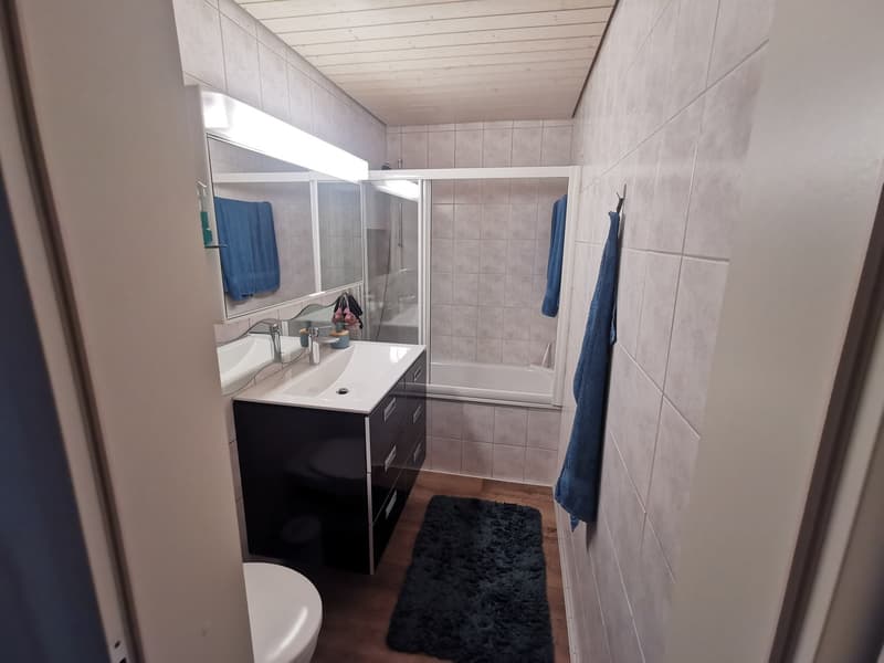 2,5 Zimmer 117 m² Dachgeschoss Wohnung mit Galerie und Wintergarten (7)