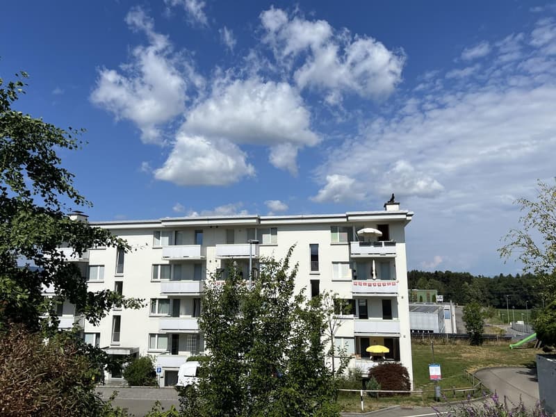 3.5 Zi Wohnung total saniert 2026 (9)