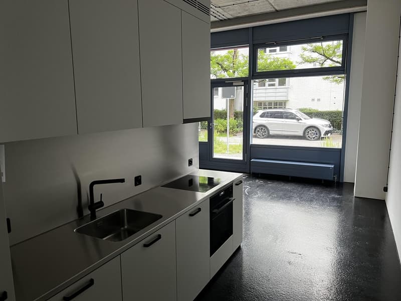 1 ½ Zimmer-Wohnung, 8052 Zürich (9)