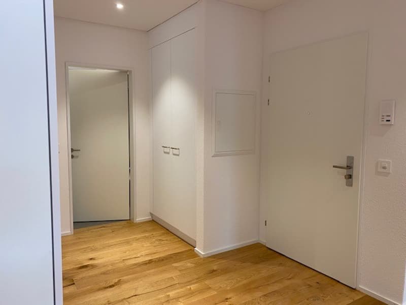 Letzte 5.5 Zimmerwohnung an Top Aussichtslage auf See und Berge (8)