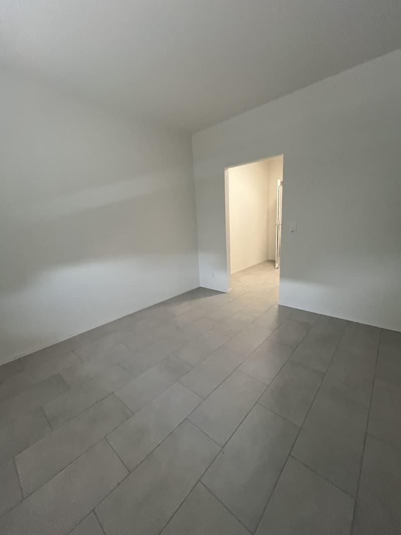 Neue 1.5-Zimmer Studiowohnungen in stattlichem Gebäude (3)