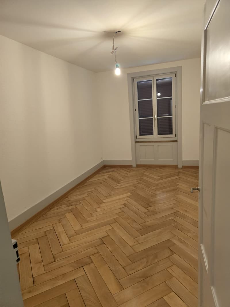 Wunderschöne, renovierte 3 ZW zu vermieten! (2)