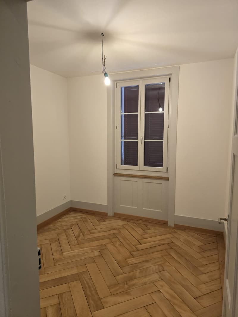 Wunderschöne, renovierte 3 ZW zu vermieten! (4)