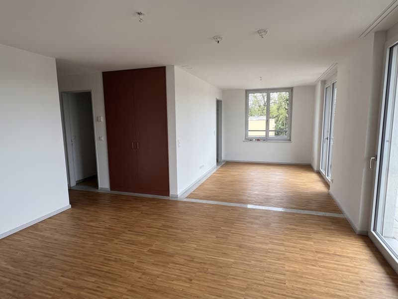 2.5 rooms with lake & Uetliberg views in Witikon Kreis 7 (4)