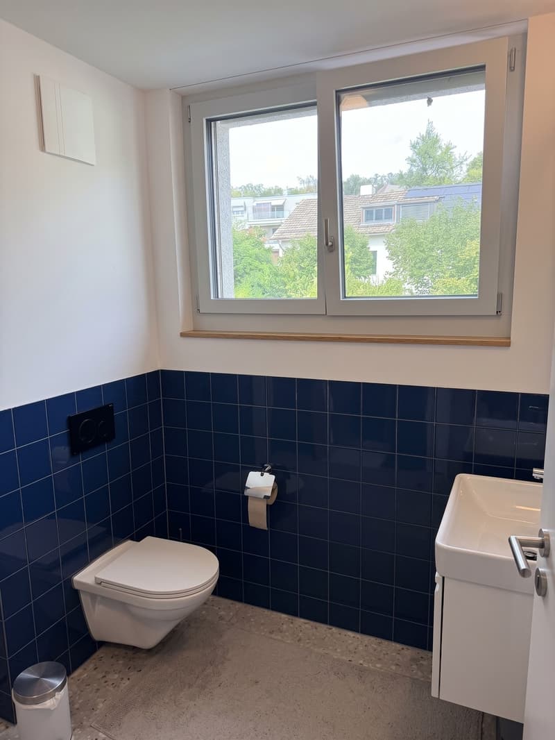 2.5 rooms with lake & Uetliberg views in Witikon Kreis 7 (11)