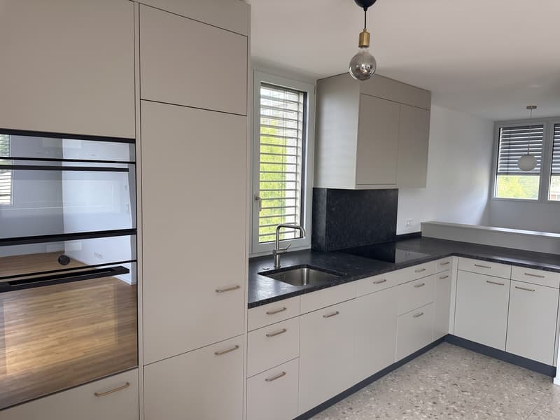 2.5 rooms with lake & Uetliberg views in Witikon Kreis 7 (5)