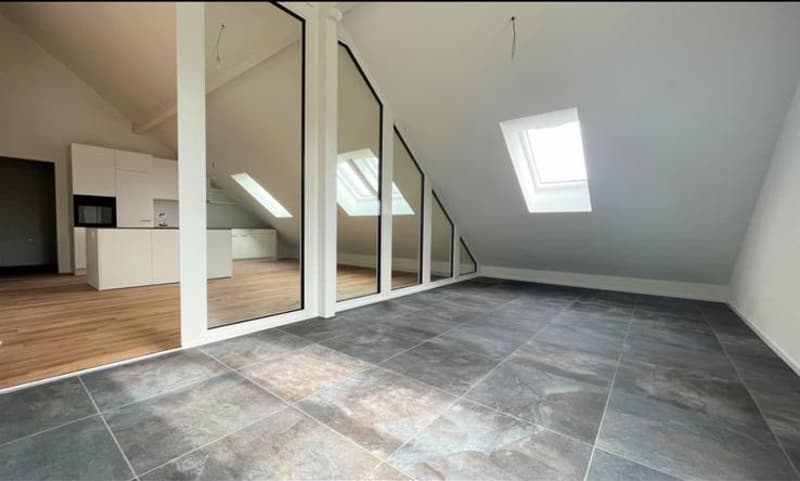 Moderne 4.5-Zimmer-Wohnung in Altbau! (11)