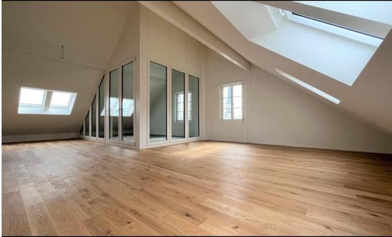 Moderne 4.5-Zimmer-Wohnung in Altbau! (9)