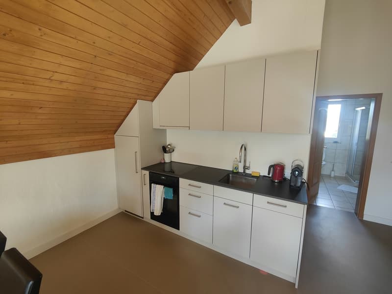 Frisch sanierte 2-Zimmerwohnung (2)