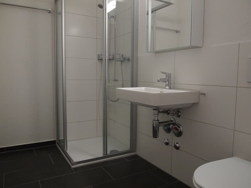4.5-Zimmer-Gartenwohnung im Erdgeschoss, 101 m² mit Sitzplatz ins Grüne (7)