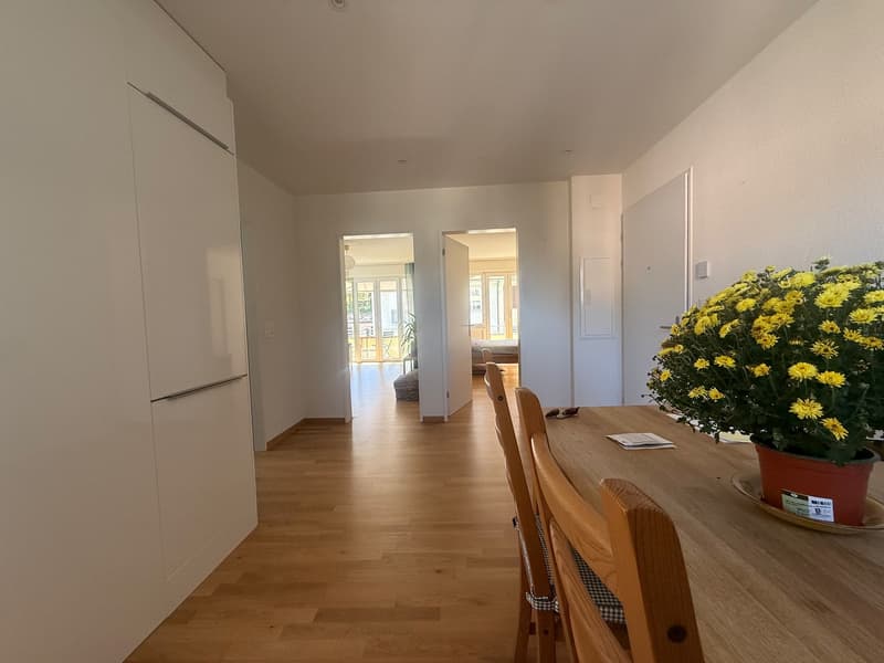 2.5-Zimmer-Wohnung mit 2 Balkonen in ruhiger Lage  Zürich 8003 (11)