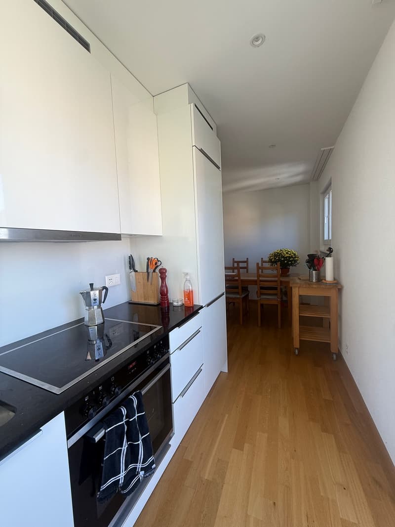2.5-Zimmer-Wohnung mit 2 Balkonen in ruhiger Lage  Zürich 8003 (10)