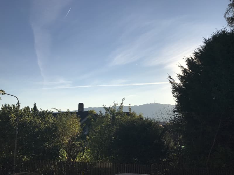 Lichtdurchflutete 2.5-Zimmer-Wohnung mit grossem Balkon in Hottingen (66 m²) (10)