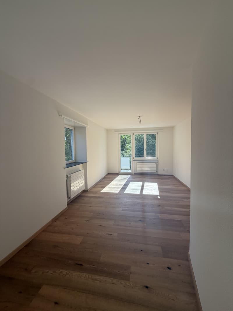Helle, neu sanierte 2.5-Zimmer-Wohnungen am Aarmattweg 53 (4)