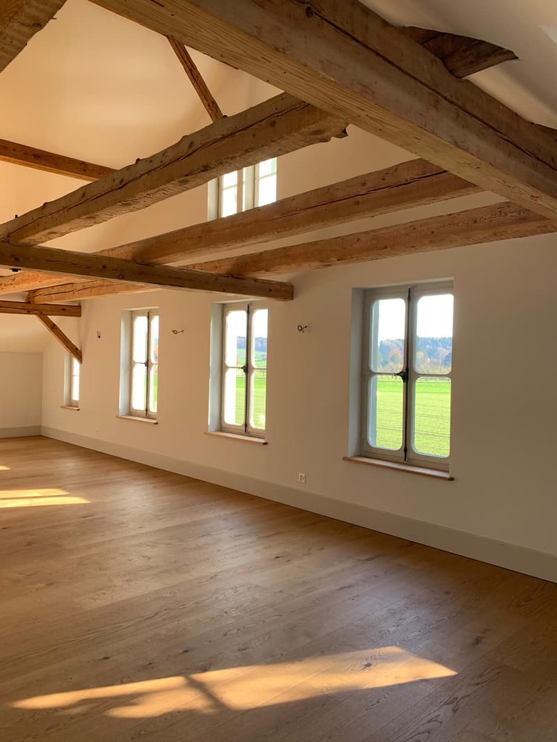 Paradies unter dem Dach  Wohnen in der Villa St. Niklaus (7)