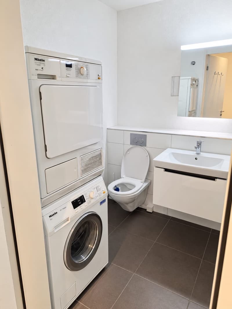 Wir suchen dringend einen Nachmieter für eine superschöne Wohnung mit Terrasse und Rasenplatz (11)