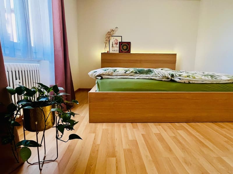 4 Zimmer-Wohnung, 6005 Luzern (3)