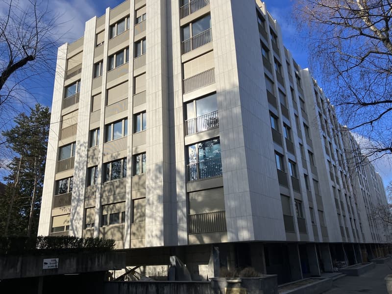 Prime location in Geneva - Cozy studio like new (2)