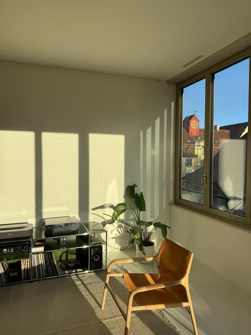 Light-Filled Top-Floor Flat in Zürich (8005) (2)