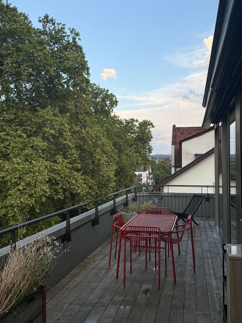 Light-Filled Top-Floor Flat in Zürich (8005) (5)