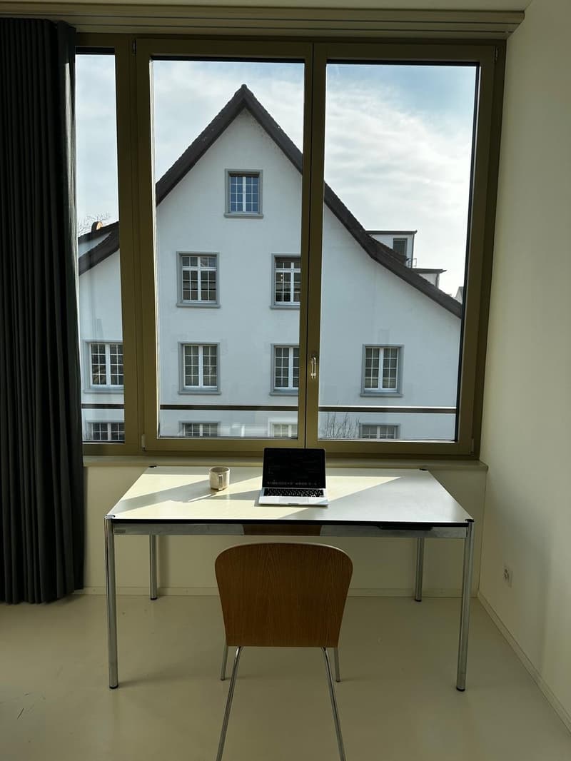 Light-Filled Top-Floor Flat in Zürich (8005) (7)