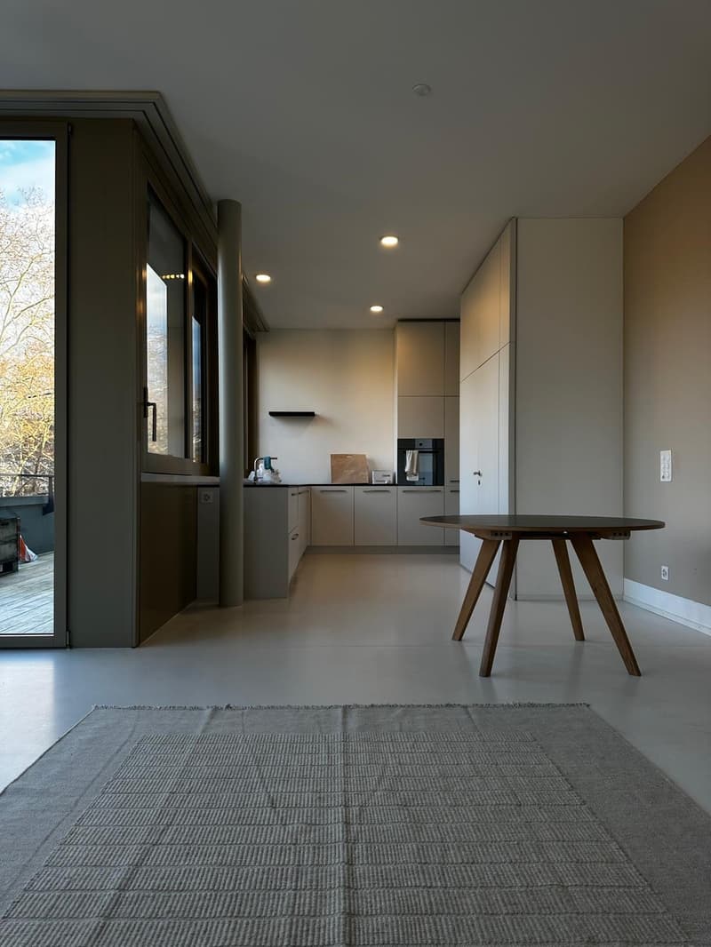Light-Filled Top-Floor Flat in Zürich (8005) (8)