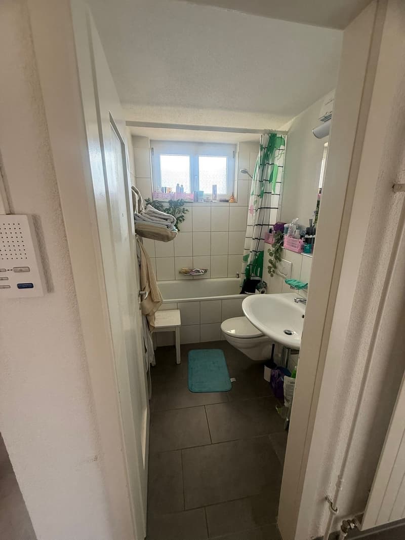 3 Zimmer-Wohnung (7)