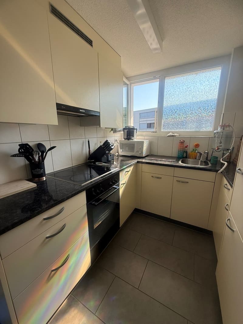 3 Zimmer-Wohnung (2)
