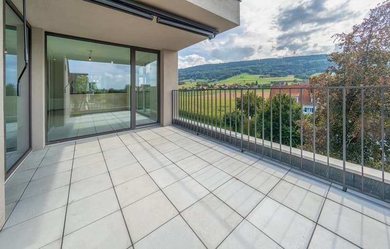 Grosse Maisonette Wohnung (10)
