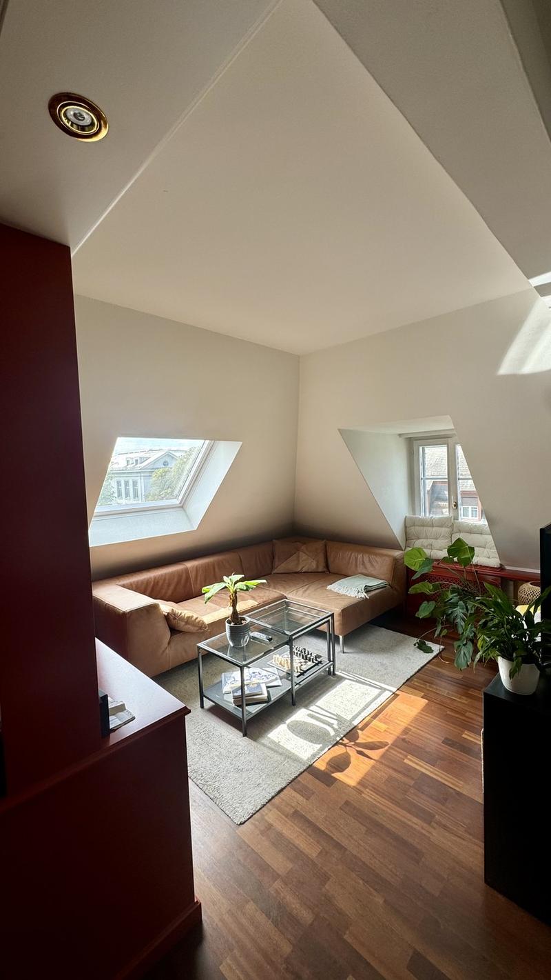 Befristete Attikawohnung mit 60 m² Dachterrasse im Kreis 6 (4)