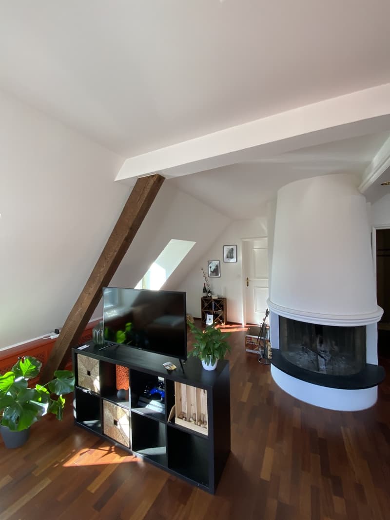 Befristete Attikawohnung mit 60 m² Dachterrasse im Kreis 6 (5)