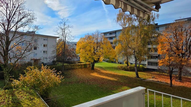 Blick in den Gartenpark