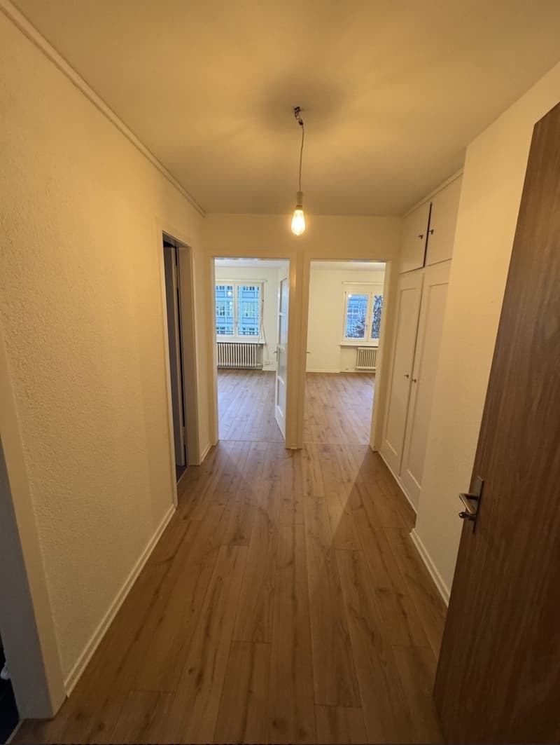 Befristetes WG-Zimmer in Zürich 1. Oktober bis Ende Januar (2)