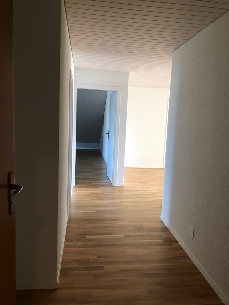 Charmante Dachgeschosswohnung mit Weitsicht in Münsingen (9)