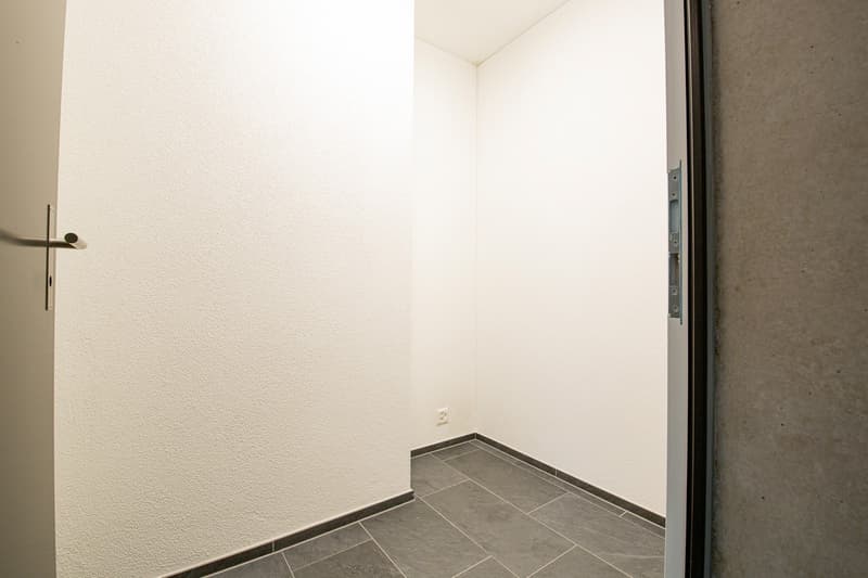 Moderne 2.5-Zimmer-Dachwohnung mit grosszügiger Sonnenterrasse in Zürich-Affoltern (4)
