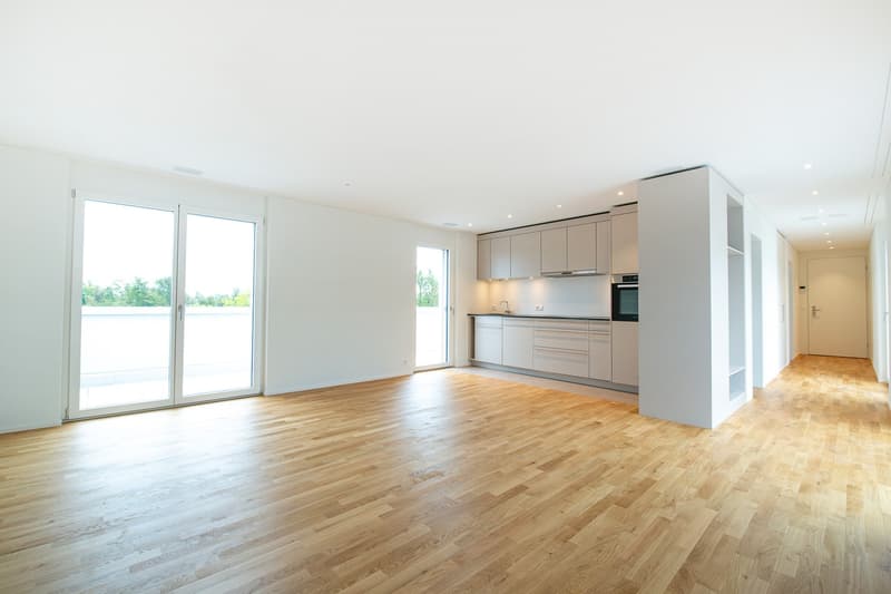 Moderne 2.5-Zimmer-Dachwohnung mit grosszügiger Sonnenterrasse in Zürich-Affoltern (1)