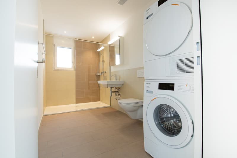 Moderne 2.5-Zimmer-Dachwohnung mit grosszügiger Sonnenterrasse in Zürich-Affoltern (9)