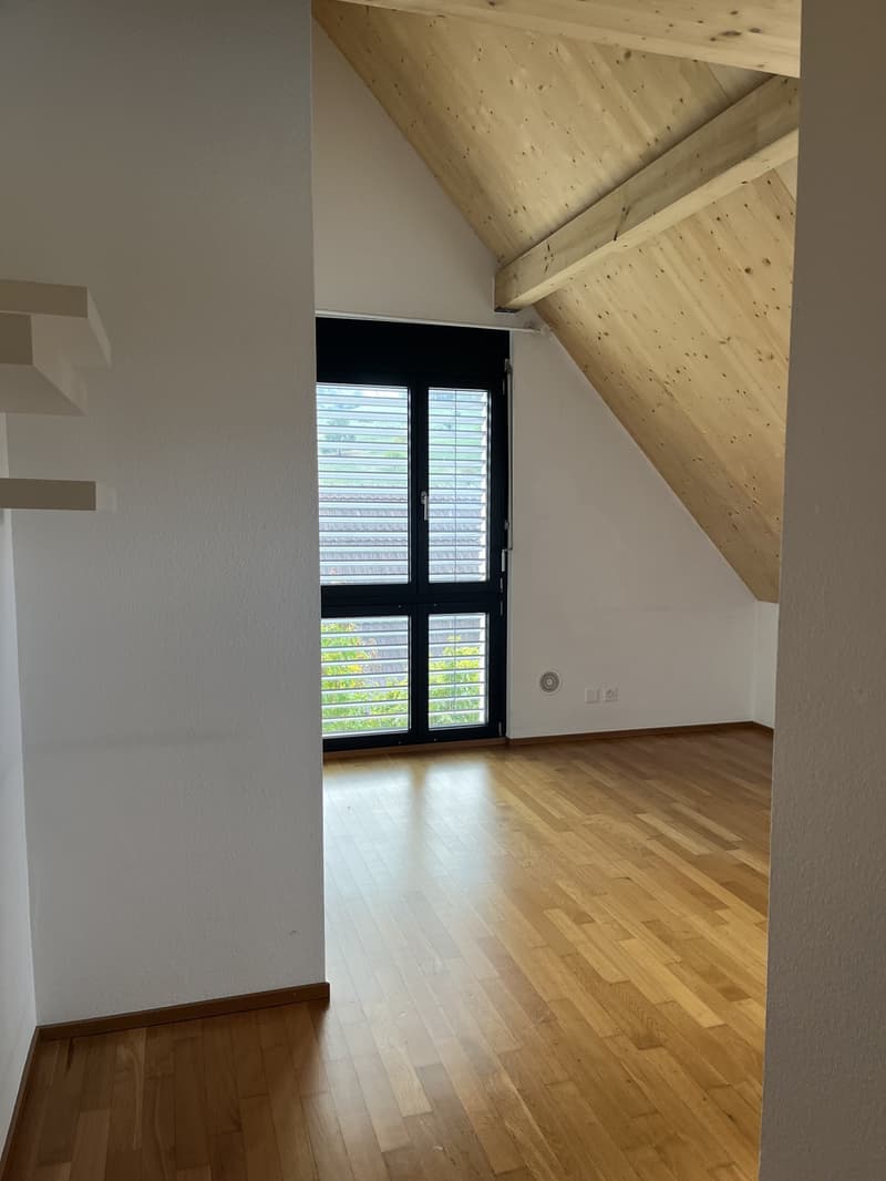 Modernes Einfamilienhaus mit Pool zu vermieten (10)