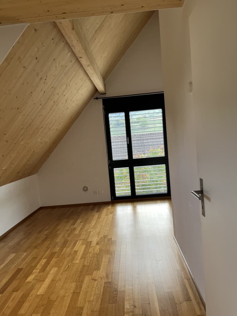 Modernes Einfamilienhaus mit Pool zu vermieten (8)