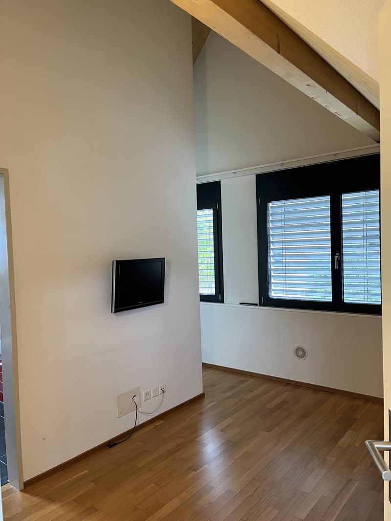 Modernes Einfamilienhaus mit Pool zu vermieten (12)
