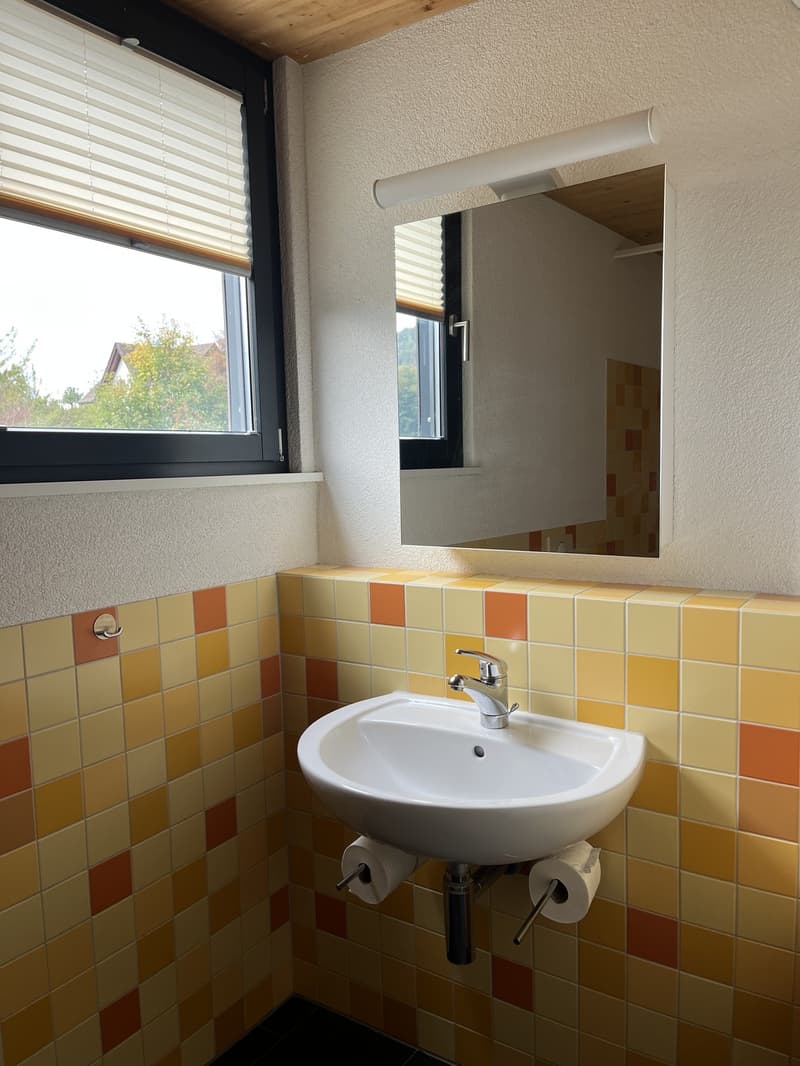 Modernes Einfamilienhaus mit Pool zu vermieten (11)