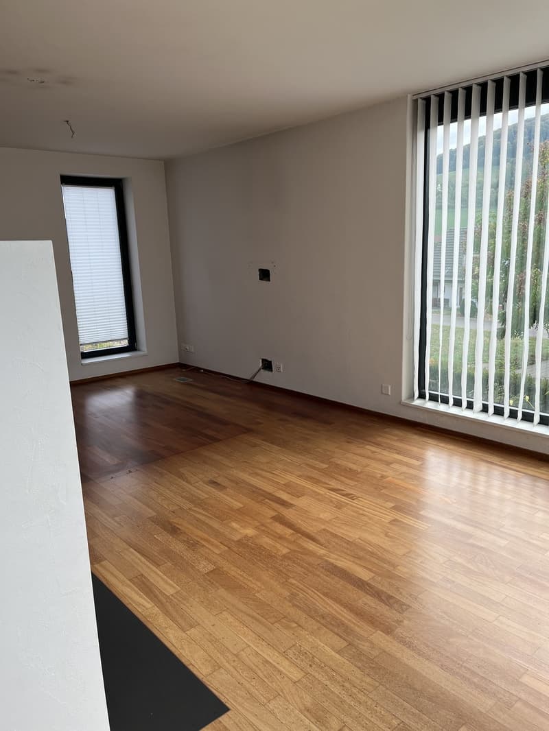 Modernes Einfamilienhaus mit Pool zu vermieten (3)